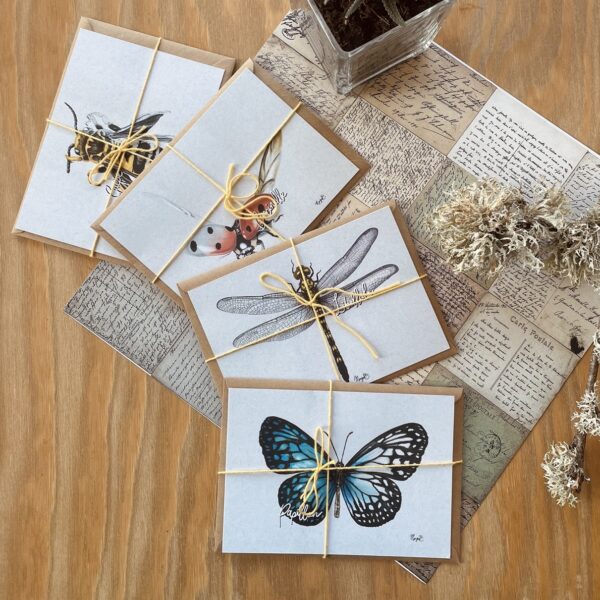 Insectes – Lot de 4 cartes postales