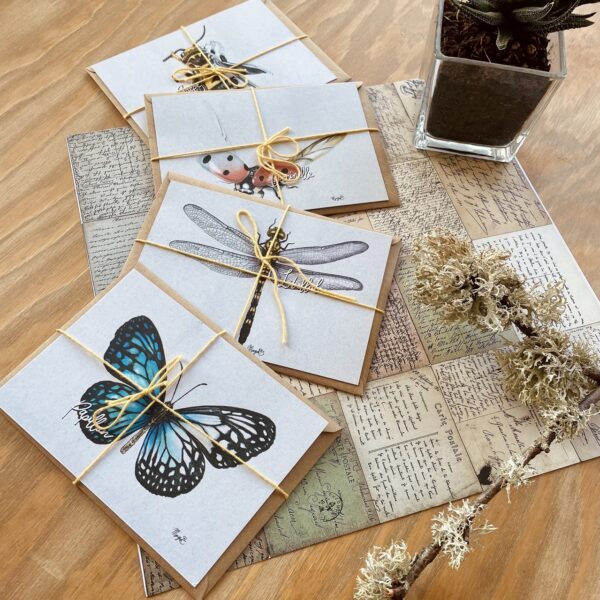 Insectes - Lot de 4 cartes postales