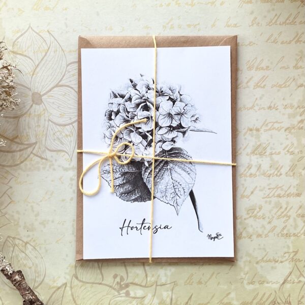 Hortensia Noir et Blanc